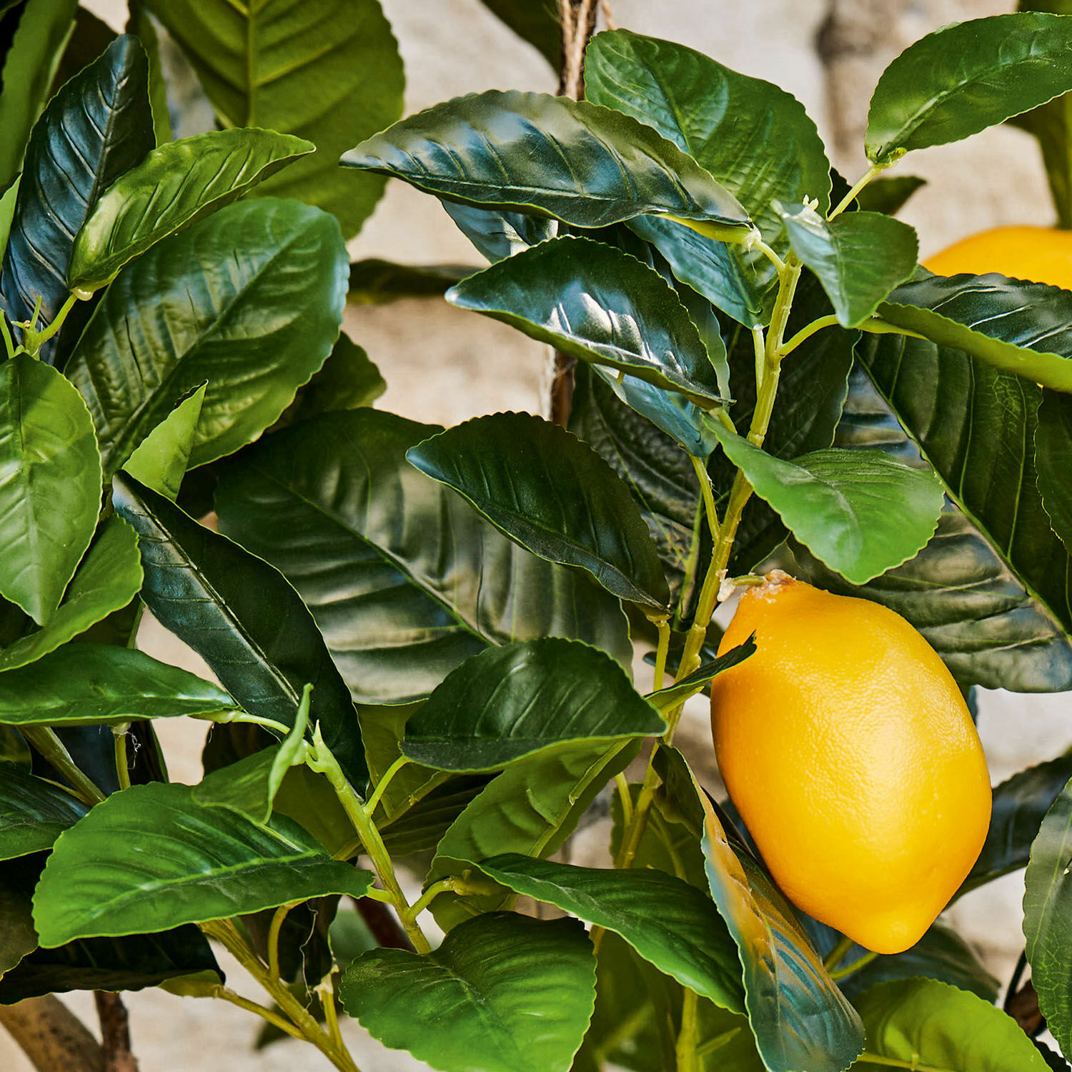 Árbol decorativo Darfield