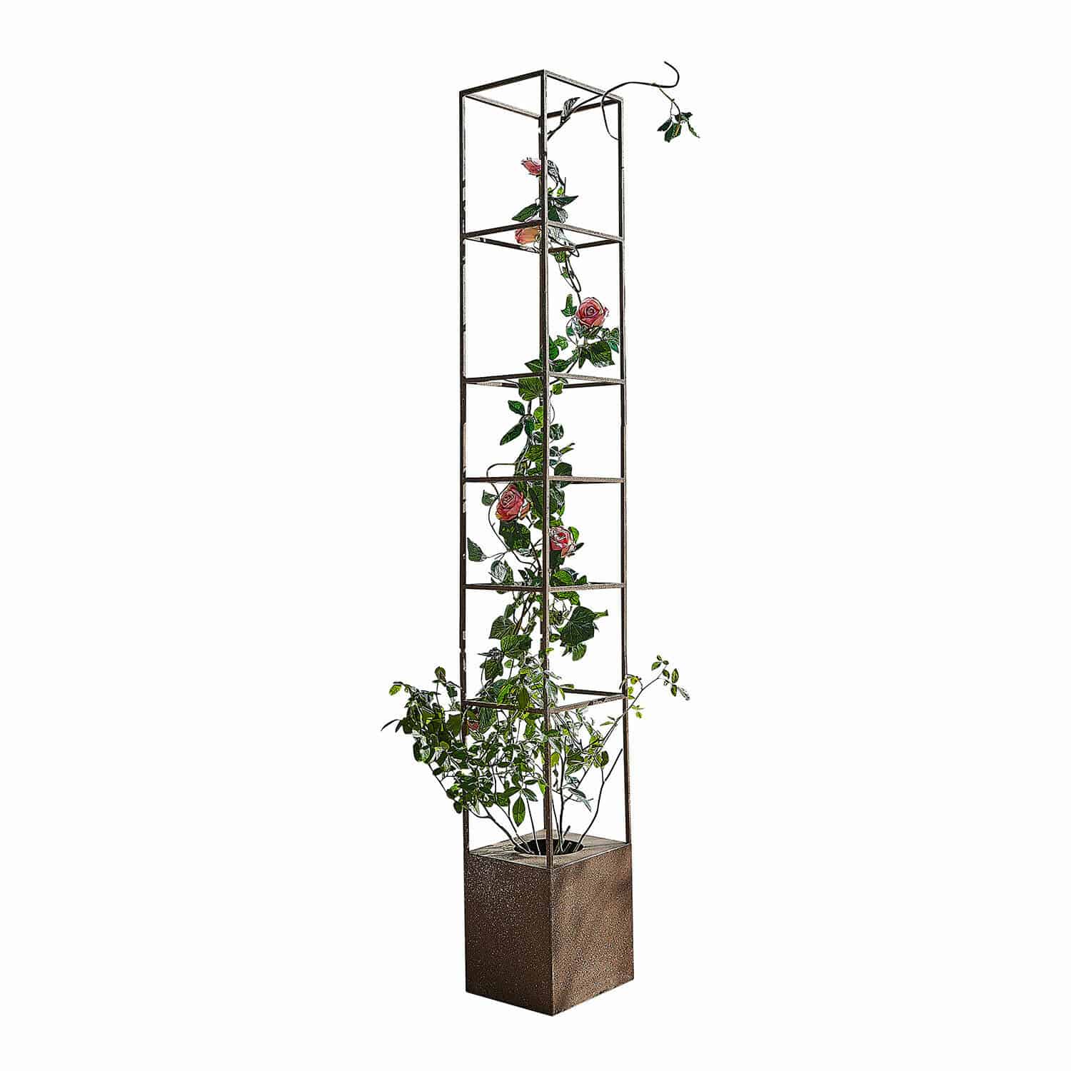 Soporte para plantas trepadoras Elixvo