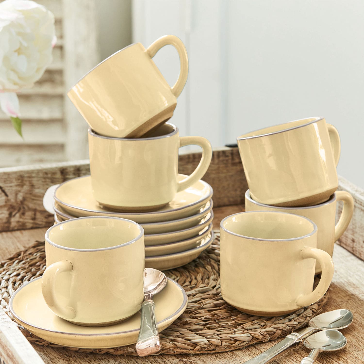 Set de 6 tazas y platillos Biarré