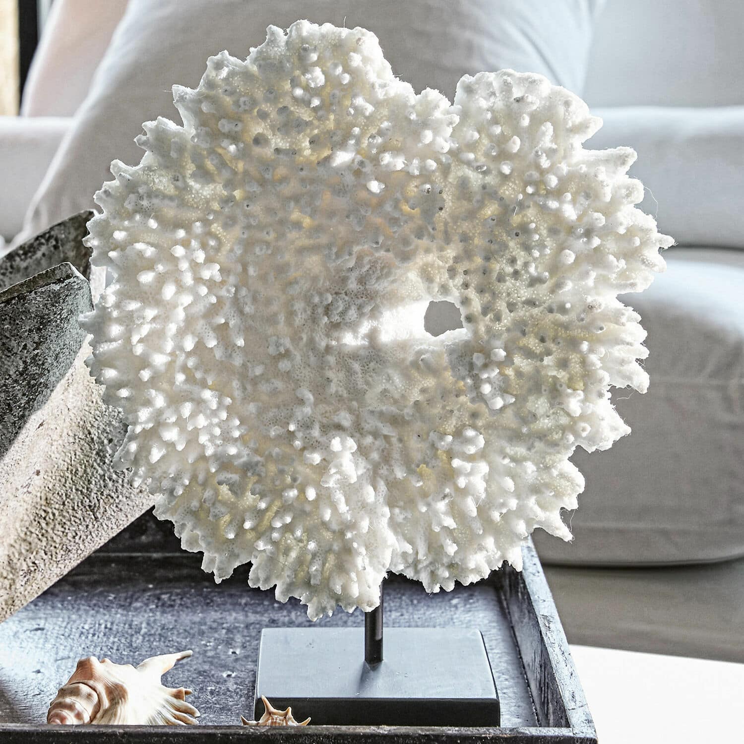 Coral decorativo Condière