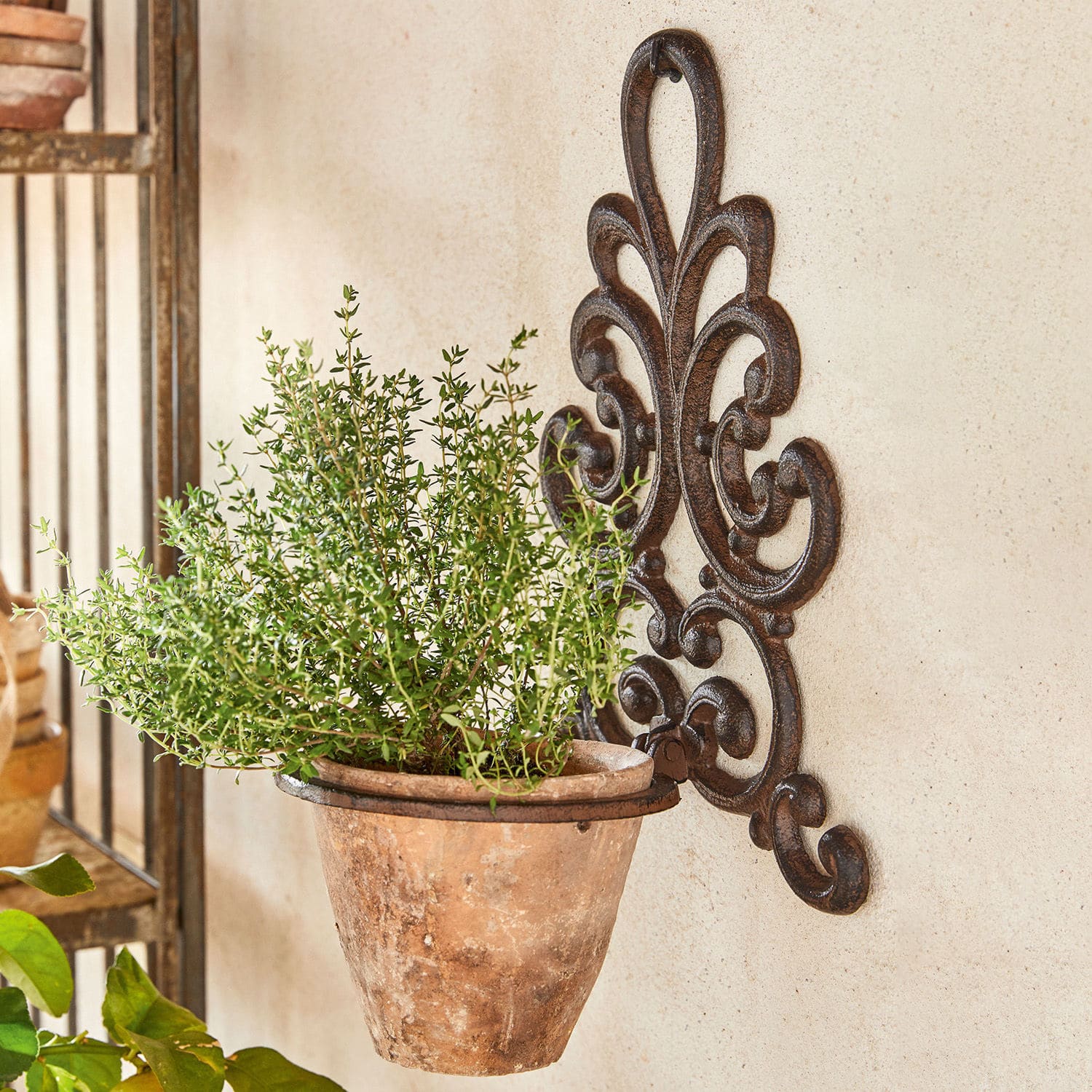 Soporte de pared para maceta Cecile