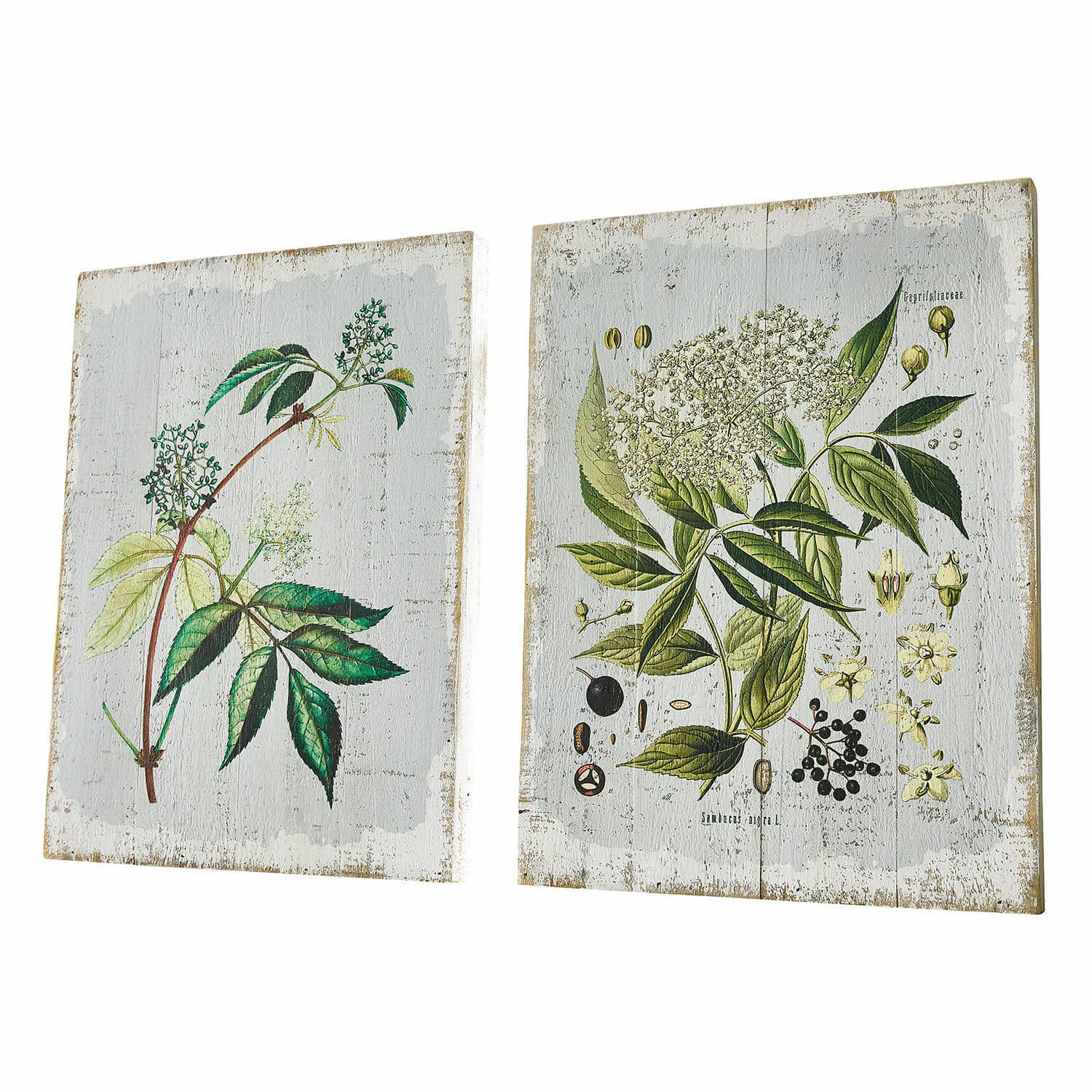 Set de 2 tableros decorativos Loanne