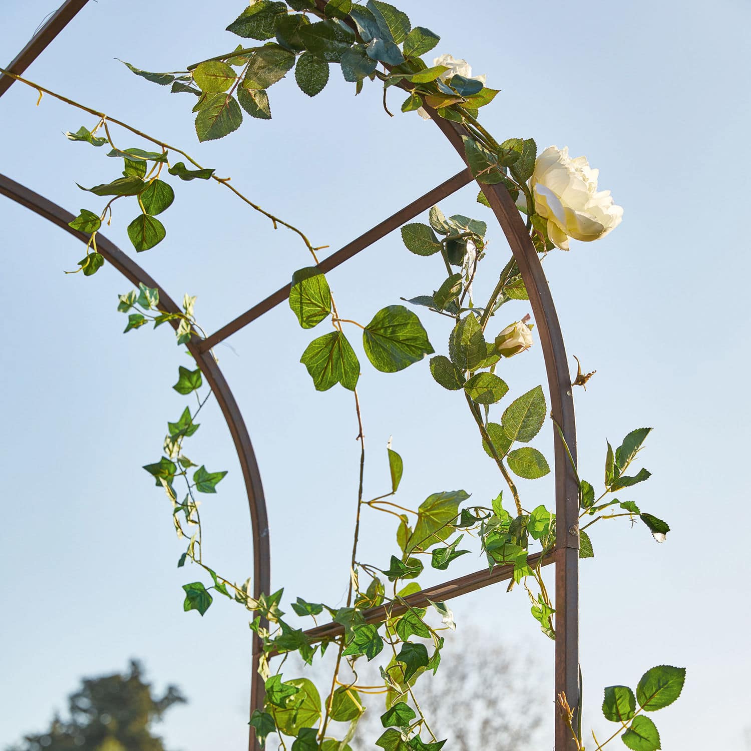 Arco de rosas Dimarus