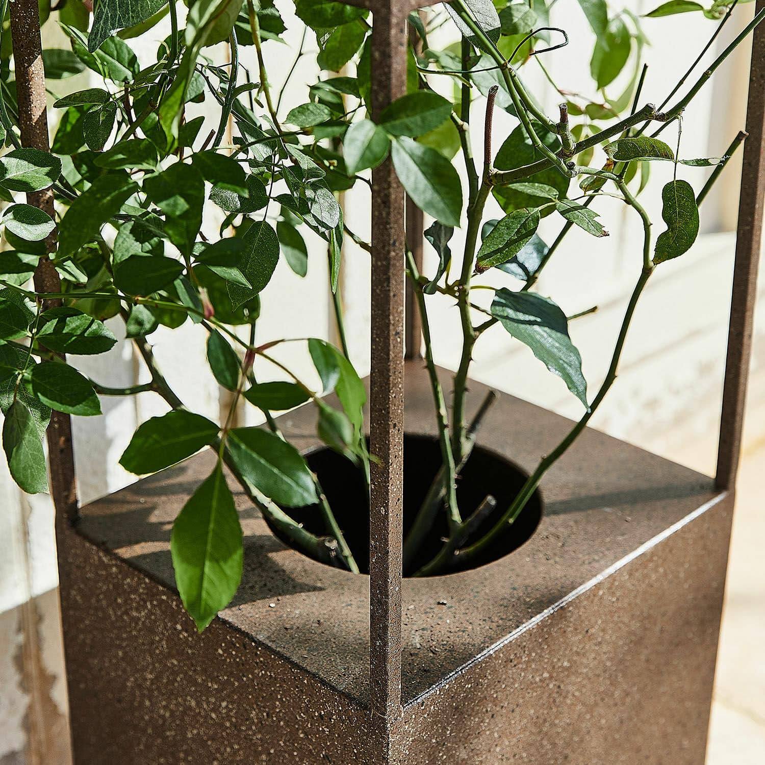 Soporte para plantas trepadoras Elixvo