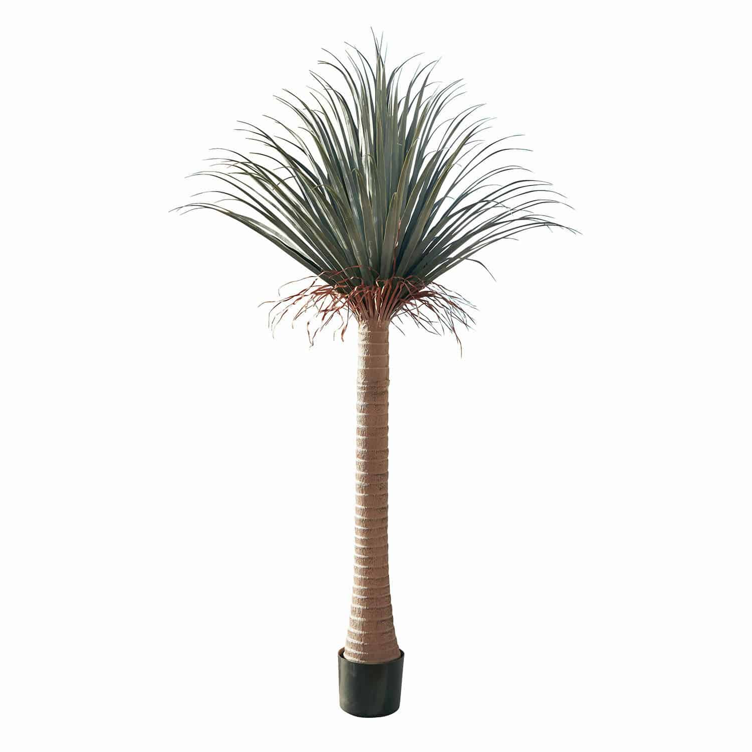 Palmera decorativa Remivon