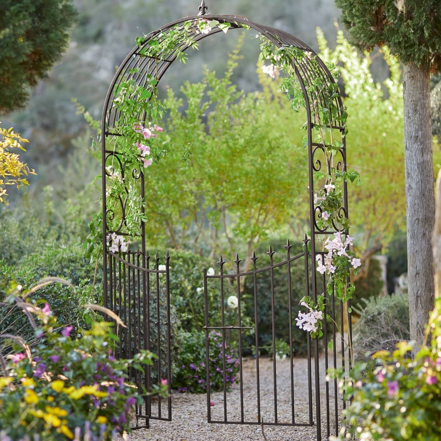 Arco de rosas Skyrose